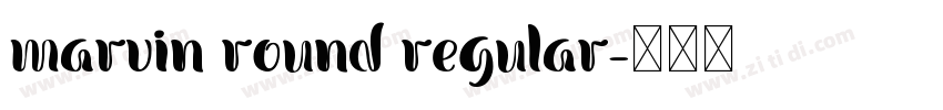 marvin round regular字体转换